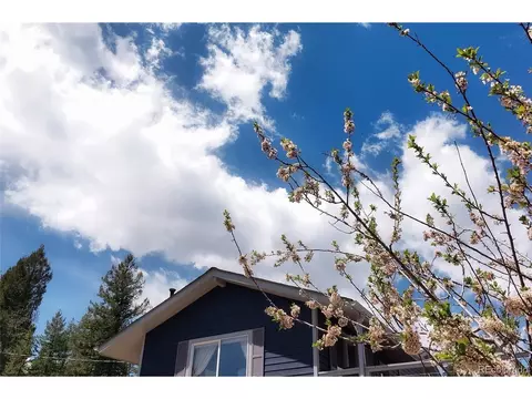 10001 Apache Spring Dr, Conifer, CO 80433 photo 32