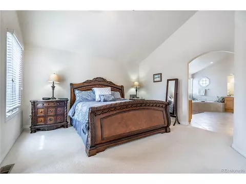 8452 Fairview Ct, Lone Tree, CO 80124 photo 26