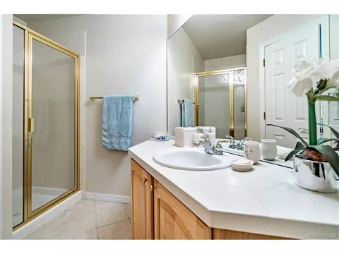 8452 Fairview Ct, Lone Tree, CO 80124 photo 35