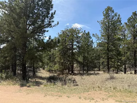 99 Cheyenne Way, Florissant, CO 80816