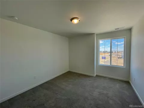 5580 Mare Ln, Timnath, CO 80547 photo 14