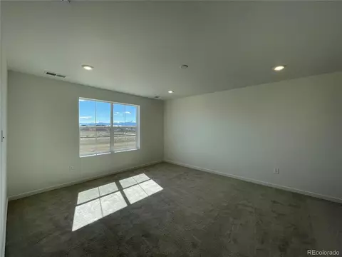 5580 Mare Ln, Timnath, CO 80547 photo 18