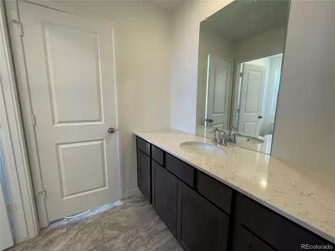 5580 Mare Ln, Timnath, CO 80547 photo 15