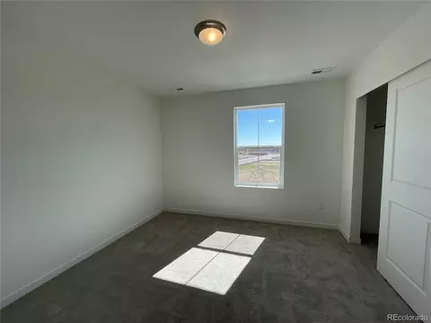 5580 Mare Ln, Timnath, CO 80547 photo 17