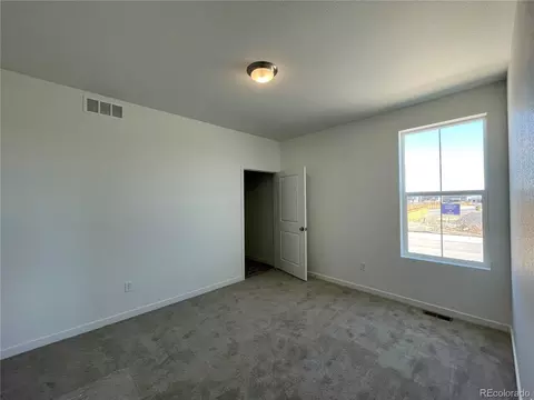 5580 Mare Ln, Timnath, CO 80547 photo 7