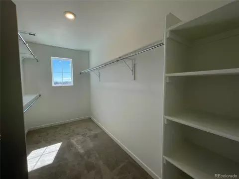 5580 Mare Ln, Timnath, CO 80547 photo 19
