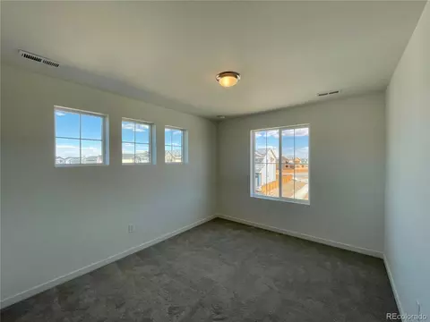 5580 Mare Ln, Timnath, CO 80547 photo 12