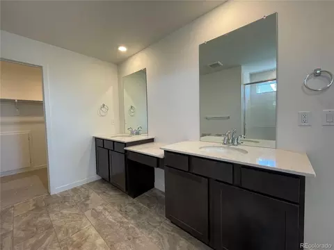 5580 Mare Ln, Timnath, CO 80547 photo 20