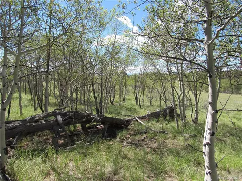 Undisclosed, Como, CO 80432 photo 1