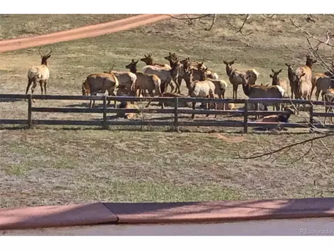 360 Lonestar Rd, Lyons, CO 80540 photo 38