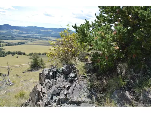 47 Saddle Mountain Pass, Guffey, CO 80820 photo 11