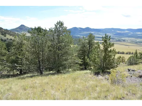 47 Saddle Mountain Pass, Guffey, CO 80820 photo 15