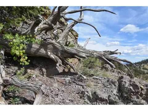47 Saddle Mountain Pass, Guffey, CO 80820 photo 25