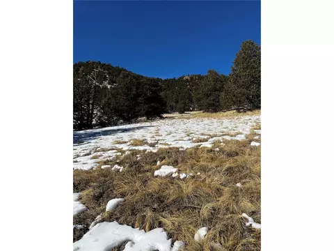 47 Saddle Mountain Pass, Guffey, CO 80820 photo 43