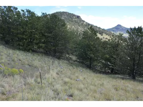 47 Saddle Mountain Pass, Guffey, CO 80820 photo 16