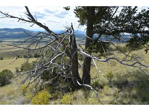 47 Saddle Mountain Pass, Guffey, CO 80820 photo 24