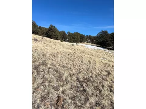 47 Saddle Mountain Pass, Guffey, CO 80820 photo 40