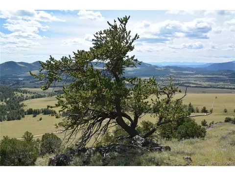 47 Saddle Mountain Pass, Guffey, CO 80820 photo 29