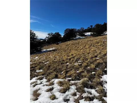 47 Saddle Mountain Pass, Guffey, CO 80820 photo 38
