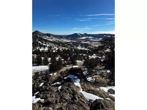 47 Saddle Mountain Pass, Guffey, CO 80820 photo 42