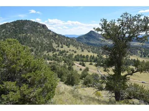47 Saddle Mountain Pass, Guffey, CO 80820 photo 27
