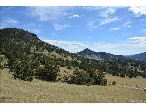 47 Saddle Mountain Pass, Guffey, CO 80820 photo 10