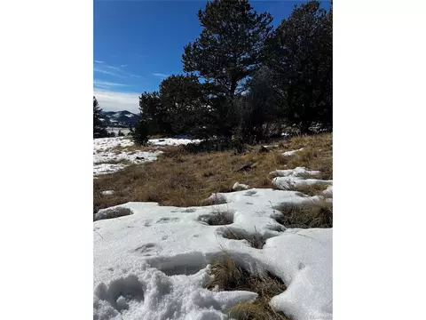 47 Saddle Mountain Pass, Guffey, CO 80820 photo 45