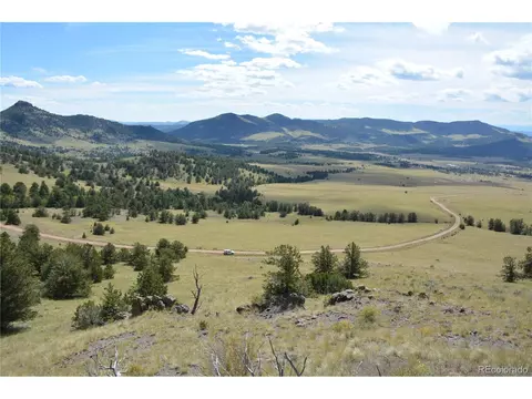 47 Saddle Mountain Pass, Guffey, CO 80820 photo 22