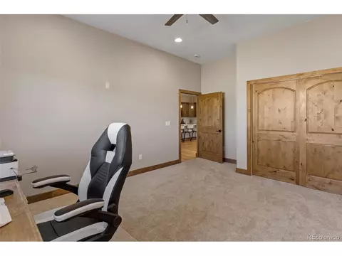 903 Liptrap St, Simla, CO 80835 photo 23