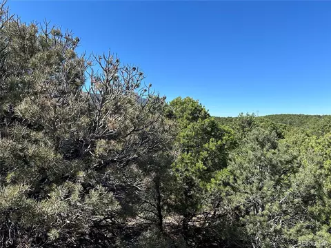 88 Clg UNIT CC-1, Gardner, CO 81040 photo 3