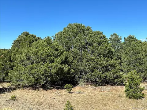 88 Clg UNIT CC-1, Gardner, CO 81040 photo 12