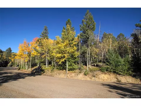 11637 Leavenworth Dr, Conifer, CO 80433