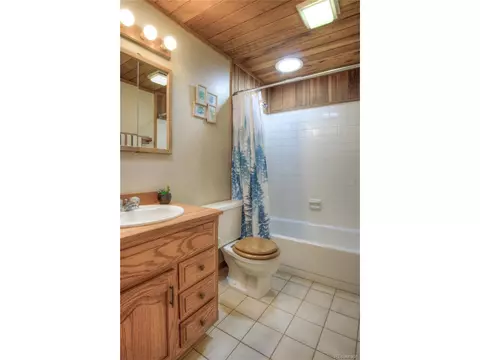 Undisclosed, Bailey, CO 80421 photo 17