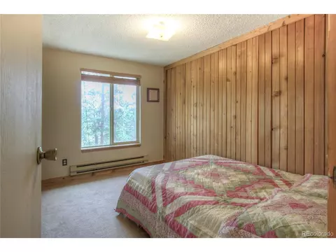 Undisclosed, Bailey, CO 80421 photo 14