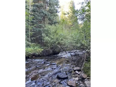 Fall River Rd, Idaho Springs, CO 80452