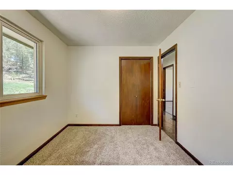 283 Brookside Dr, Bailey, CO 80421 photo 13