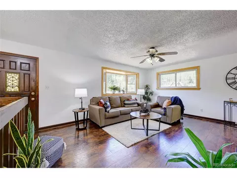 283 Brookside Dr, Bailey, CO 80421 photo 3