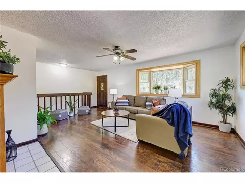283 Brookside Dr, Bailey, CO 80421 photo 4