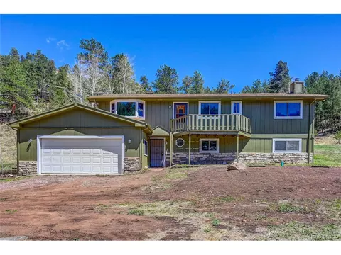 283 Brookside Dr, Bailey, CO 80421 photo 5