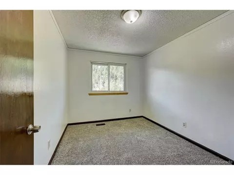 283 Brookside Dr, Bailey, CO 80421 photo 10
