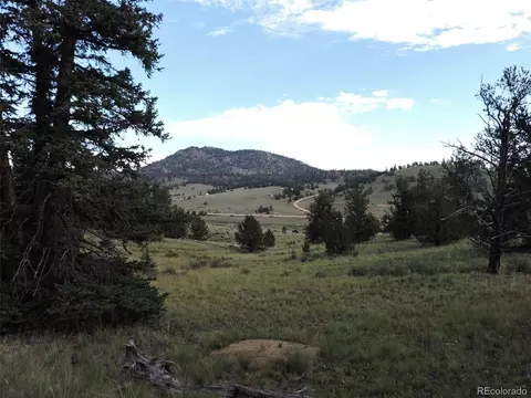 51 Flask Way, Como, CO 80432 photo 10