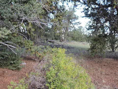 51 Flask Way, Como, CO 80432 photo 16