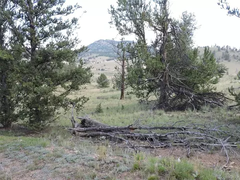 51 Flask Way, Como, CO 80432 photo 7