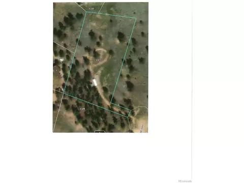 51 Flask Way, Como, CO 80432 photo 18