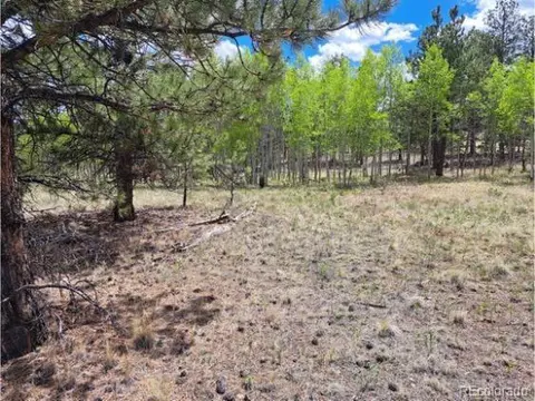 265 Haystack Rd, Hartsel, CO 80449 photo 14