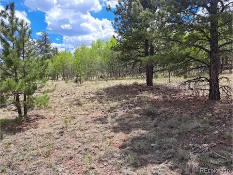 265 Haystack Rd, Hartsel, CO 80449 photo 13