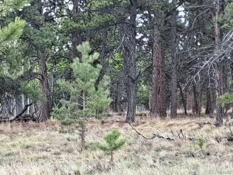 265 Haystack Rd, Hartsel, CO 80449 photo 3
