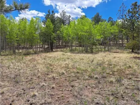 265 Haystack Rd, Hartsel, CO 80449 photo 7