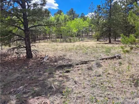 265 Haystack Rd, Hartsel, CO 80449 photo 6