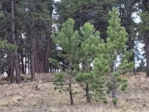 265 Haystack Rd, Hartsel, CO 80449 photo 12